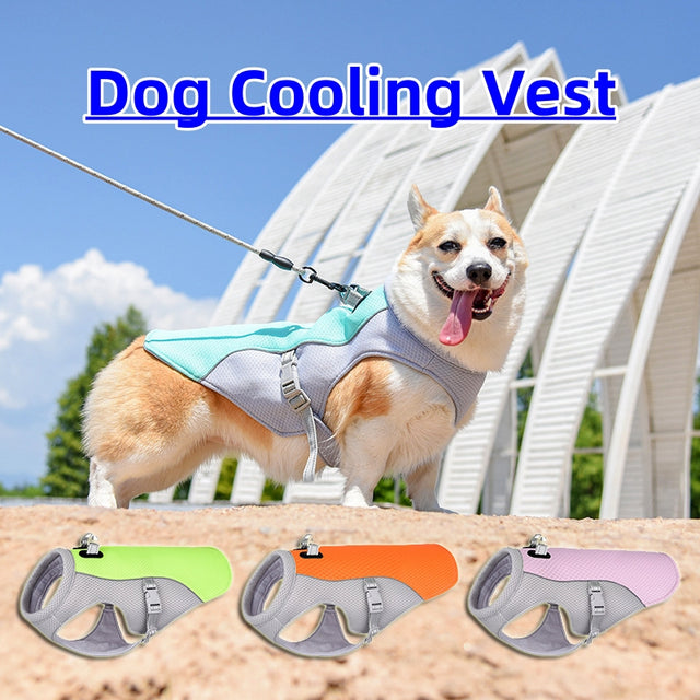 Pet Supplies